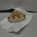 8 Pack Champagne Crystal Cabinet Knobs and Pulls Oval,Glass Knobs for Dresser Drawers with Satin Brass/Brushed Gold Base