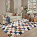 Checkered Area Rug 4x6 for Bedroom Soft Fluffy Shag Carpet | Machine Washable, Non-Slip, Colorful, High Pile, Cozy for Living Room, Kids Room, Nursery, Playroom, Classroom, Modern Decor (Rainbow)