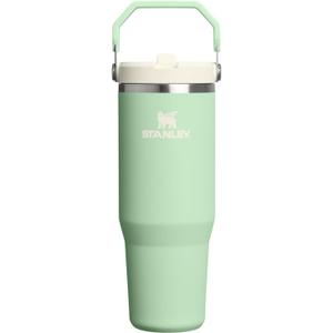 STANLEY IceFlow 2.0 Flip Straw Tumbler with Handle 30 oz | Twist On Lid and Flip Up Straw | Leak Resistant Water Bottle | Insulated Stainless Steel | BPA-Free | Pistachio