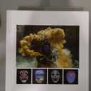 Shining App Mask Programmable LED Face Mask App Control Rechargeable  