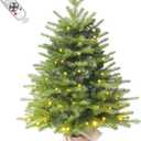 3FT Pre-lit Artificial Small Mini Christmas Tree with Warm White Multi-Color LED Lights, Remote Control and Timer, Perfect for Xmas Tabletop Decorations, Home, Kitchen, Dining Table top Green