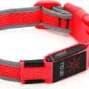 YFbrite Light up Dog Collar, USB Rechargeable LED Puppy Collar Super Bright Adjustable Glowing Dog Lights for Night Walking (Red, Medium)
