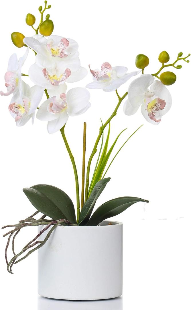 Jusdreen 1 Pcs Ceramic Vase Artificial Orchid Flower Bonsai Vivid Phalaenopsis Flowers Potting for Home Office Dcor,Table Centerpiece Room Decorations 14.5 INCH (Ceramic Pot/White Orchid) (Z/Ceramic-white)