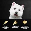 Cesar Simply Crafted Adult Wet Dog Food Toppers for Dry Food, Chicken, 1.3 oz Tubs, 10 Count (EXP 03/12/28)