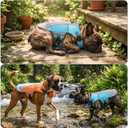 DENTRUN Dog Cooling Vest with Dual Absorbent Core & Reflective Safety | sun protection, adjustable fit, evaporative cooling, lightweight,  for all breeds, hiking summer essential, M