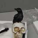 Halloween Raven On Skull Decoration Gothic Crow On Skull Statue, Bird Perching On Skeleton Figurine