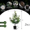 Hananona 2 Pcs Artificial Camellia Trees Faux Camellia Plant in Pot with Flowers Indoor Plants for Spring Home Decor Outdoor Porch Front Door Decor (White, M)