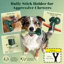 3 x Apasiri Bully Stick Holder for Medium/Large Dogs - Anti-Choking, Prevents Swallowed Ends - Nylon Dog Chew Toy - Dishwasher Safe, Green