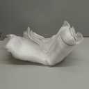 6x7 ft Fruits Tree Netting, Ultra-Fine Mesh Garden Insect Tree Cover with Drawstring Transparent Bird Plant Barrier Flower Fruits Mesh Screen for Preventing Deer Squirrel Bug