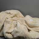 Beautyrest Heated Blanket, Electric Throw Blanket, Soft, Warm, Reversible Plush - Sherpa Heating Blanket Throw, 3 Heat Settings, 2 hr Auto Shut Off, Machine Washable, Oversized 60 in x 70 in, Beige