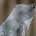 12" Gold Pendant Lights 2 Pack Glass Globe Pendant Light Fixture Bedroom Mid Century Modern Pendant Lighting Brass Pendant Light for Kitchen Island Bedroom Living Room (Bulb Incl.)