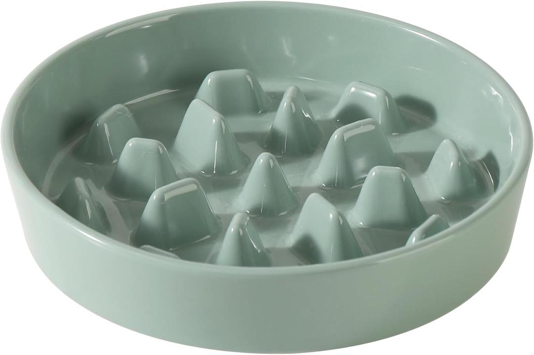 Ceramic 3.2 Cup Dog Bowl Slow Feeder, 9.5 inch Slow Pet Food Dish for Large Dog, Stop Bloat, Preventing Choking(Single Bowl, Light Green)