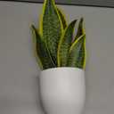 Hollyone Artificial Snake Plant Potted Faux Sansevieria Trifasciata Plants, 13" Tropical Fake Plants in White Pots for Home Office Room Indoor Decor Housewarming Gifts