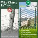 10 Pack Metal Fence Posts, 4ft Heavy Duty U-Post, Green Garden Stakes, No-Dig Post Anchors for Wire Fences, Temporary Fencing, Electric Fence, and Corner Support