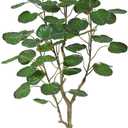 Kazeila Artificial Aralia Balfour Tree,Fake Greenery Plant,Come with Woven Seagrass Belly Basket,Indoor Modern Decoration,4 Feet