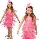 Generic Fringed Dress Round Neck Flapper Dress Retro Latin Dance Stage Costumes for 3-12 Girls (US, Alpha, Small, Regular, Pink) (Pink)
