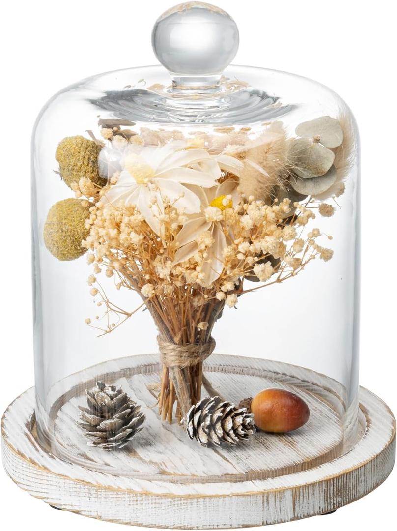 MyGift 7.5 Inch Small Clear Glass Cloche Dome with Shabby White Washed Weathered Solid Wood Tray for Dessert, Cheese and Merchandise Display Case MyGift 7.5 Inch Small Clear Glass Cloche Dome with Shabby White Washed Weathered Solid Wood Tray for Dessert, Cheese and Merchandise Display Case