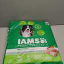IAMS Proactive Health Adult Minichunks Premium Dry Dog Food, Adult Dog Food Dry Recipe, 30 lb. Bag (EXP 10/15/25)