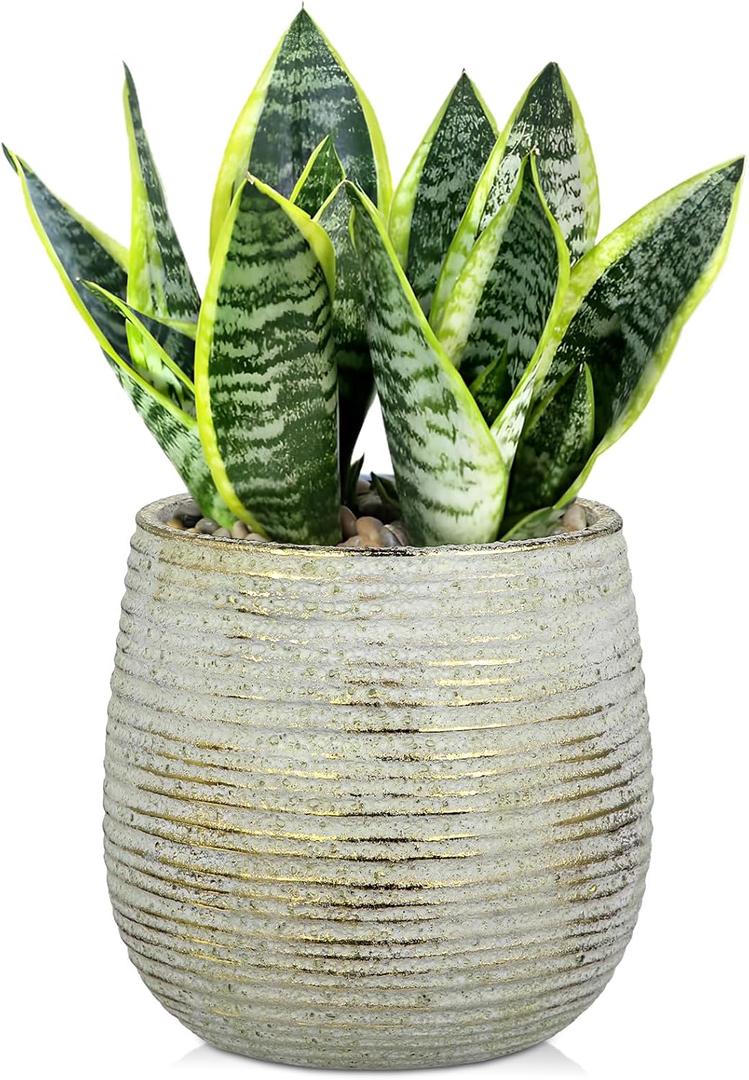 DILATATA Ceramic Pots with Drainage Hole 6.7 Inch Flower Plant Pot Indoor Round Planter Pot for Succulents, Cacti, Cactus, Snake Plants Home Decor - Gold