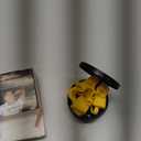 Anti Snoring Devices  Nasal Dilators - Nose Clips for Snore Relief & Better Sleep  Comfortable Silicone Snore Stopper  Anti Snoring Nose Vents  8 Pack (Torchfall)