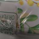 Mfault Monkey Climbing Tree Wall Decals Stickers, Jungle Animals Nursery Decorations Baby Boys Girls Bedroom Art, Kids Toddlers Room Playroom Classroom Daycare Decor