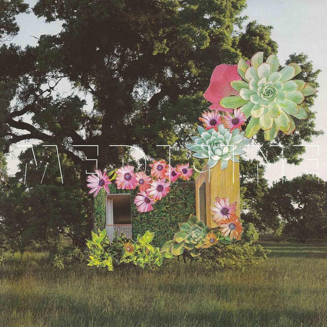 HOME EVERYWHERE by Medicine Vinyl