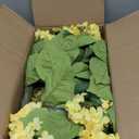 2 Pack 36 Artificial Hydrangea Trees Real to Touch Faux Hydrangea Bushes Plants with Stakes for Wedding Spring Home Office Living Room Housewarming Gift(Light Yellow)