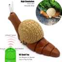 Tipmant Realistic RC Snail Remote Control Animal Toys Realistic Electronic Fake Insect Car Vehicle Kids Birthday Gifts