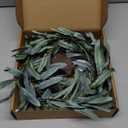 Hairui Lighted Artificial Olive Garland 6FT 96 LED Fairy Lights Battery Operated, Faux Vine Lights with Timer for Spring Christmas Holiday Fireplace Decoration