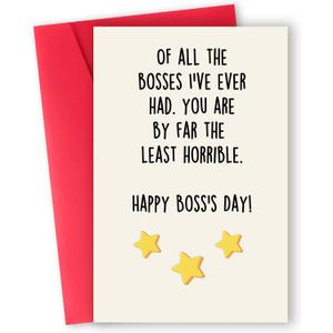 2 x Funny Fathers Day Card from Son Daughter,Humor Fathers Day Cards Gifts for Dad,Special Father's Day Gift Idea,Dads Birthday Gift (MM-199)