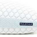 Molecule Infinity PRO Cooling Gel Memory Foam Adjustable Pillow, Standard