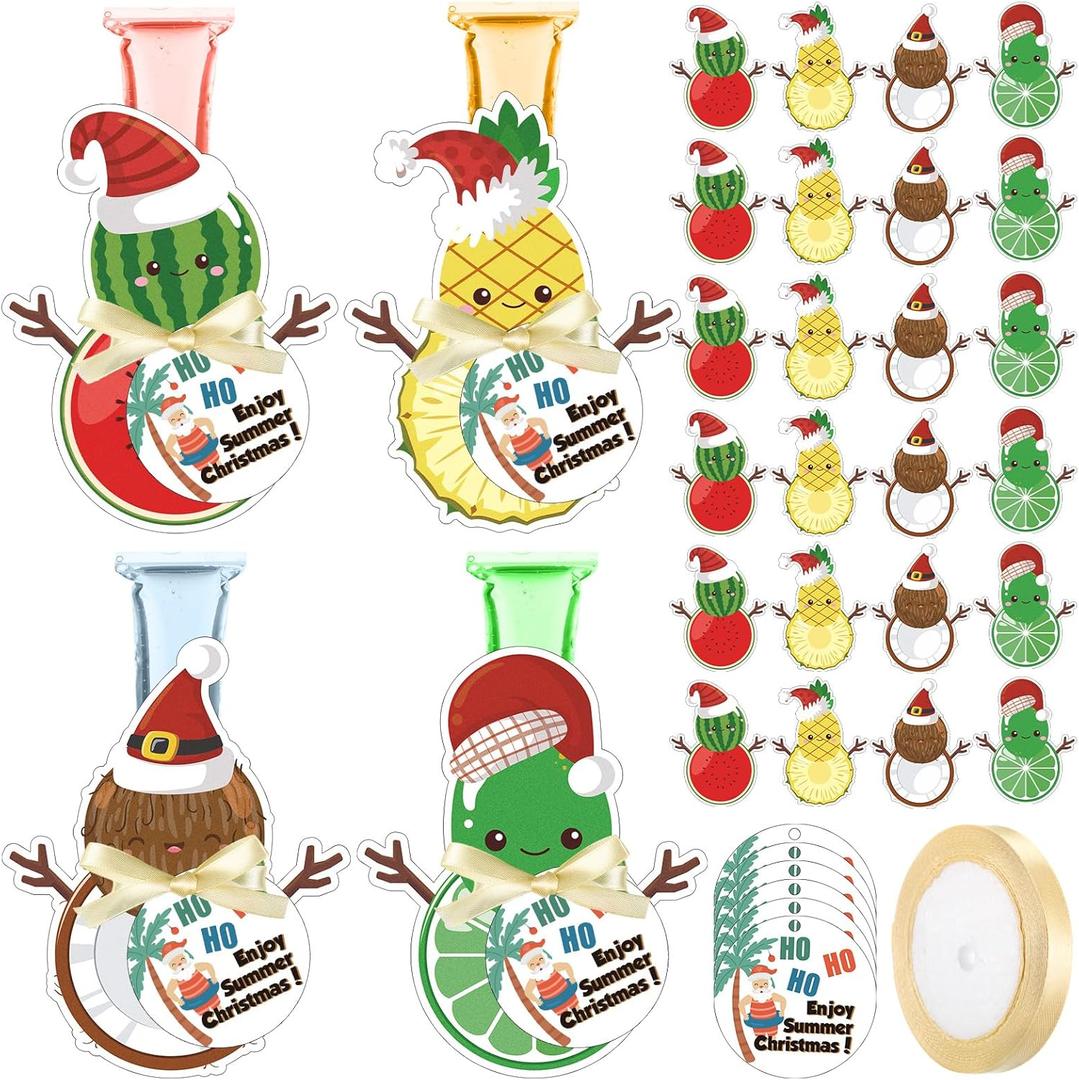 Honeydak 24 Sets Summer Christmas Party Favor Ice Pop Holder Reusable Felt Freeze Ice Pop Sleeves Greeting Card Ribbon July Summer Beach Pool Gifts for Back to School Party Supplies(Fruit Style)