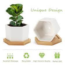 Small White Succulent Planter Pots with Bamboo Tray Hexagon Set of 3