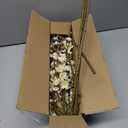 6 PCS Artificial Cherry Blossom Branches Spring Indoor Decoration, Faux Flowers 34.45" Long Stems Plum Fake Peach Plants Real Touch Silk for Wedding Home Bedroom Party Table Office, White