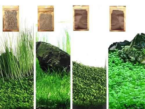 4 Bags Aquarium Plant S.e.e.ds, not Artificial Plastic Plant, Fish Tank Live Grass for All Substrate (0.36ozTiny+0.36oz Long+0.36oz Short+0.36oz Big Dual) ZQV-013