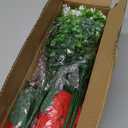 14'' Artificial Poinsettias Flowers for Outdoor,12 Bunches Mixed Fake Red Flowers Faux Eucalyptus Plants UV-Resistant for Home Garden Porch Christmas Winter Spring Outdoor Indoor Decor