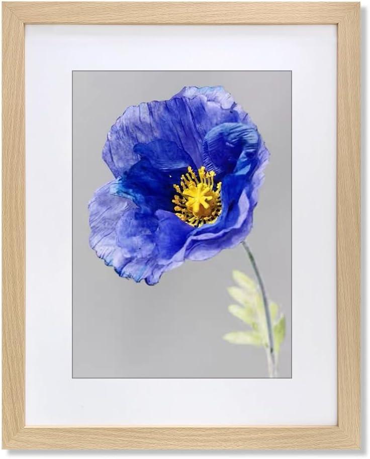 VNVNK 17x22 Frame Natural Wood Color, Perfect for 17x22 Inch Picture without Mat or 12x18 Inch Picture with Mat, Home Wall Decor Picture Frame-1 PCS