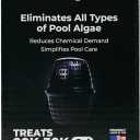 Pool RX 101066 6 Month Algaecide Treats 20k-30k gallons, Black (Single Unit)