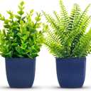 Der Rose Fake Plants 2 Pack Small Artificial Plants in Blue Pots Faux Plants Indoor for Home Room Bathroom Living Room Decor