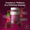 Probiotics for Women with D Mannose - Cranberry Probiotic Gummies - 60 Ct