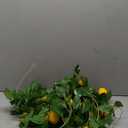 3 Strands Lemon Artificial Vines, 71" Lemon Silk Vine Garland with Green Leaves, Fake Hanging Plants Greenery Decor for Home, Bedroom, Wall, Party, Wedding Decoration