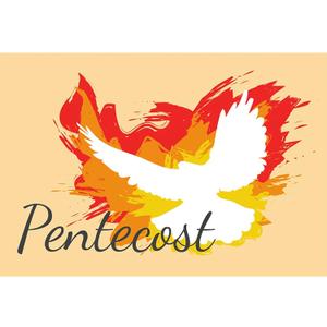 Baocicco 5x3ft Pentecost Backdrop Resurrection of Jesus Pure White Holy Spirit on Jesus Photography Background Wallpaper Decoration for Church Religion Fiesta Holy Day Christian Photoshoot Props