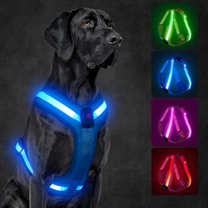 Light Up Dog Harness,Led Dog Harness Rechargeable,Lighted Dog Harness Glow in The Dark, LED Dog Vest Reflective,Light Up Harness for Dogs,Dog Lights for Night Walking(Blue,M)