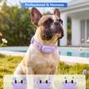 PATPET Dog Shock Collar with Remote Control - 4000FT Safe Training Collar | IPX7 Waterproof 3 Modes(Beep/Vibration/Shock) Shock Collar for Dogs 8-120Lbs, Rechargeable for Small Medium Large Dogs