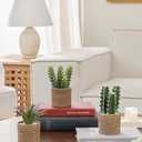3-Pack Artificial Succulent Plants in Vintage Plastic Pots - Fake Waterproof Succulents Decor for Home, Office, Desk, Shelf - Low Maintenance Indoor Greenery for Bathroom, Living Room, Table Decor