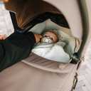 Thule Bassinet, Extendable Canopy, Spacious Ventilated Base & Mattress, Fits Urban Glide 3, 4-Wheel Spring 2, One Size