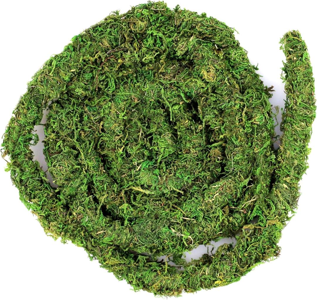 Galpagos (05266) MossVine, Real Moss Vine, 12FT, Green