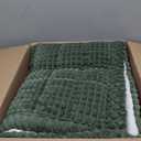 Couch Cover for Dogs Washable, Non Slip Couch Covers for 3 Cushion Sofa Pet Friendly, Fuzzy Pet Couch Cushion Covers for Dog, Thick, Soft for Sofa Protector (Green, 27.6" x 70.9"/70 x 180cm)