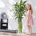 Extra Large Acrylic Cylinder Clear Vase for Floor, Tall Big Wide Mouth Plastic Unbreakable Hurricane Flower Vases of 3 for Home Decor (D 8" X H 19.7", D 6", D 4.8" + 2 Holder)