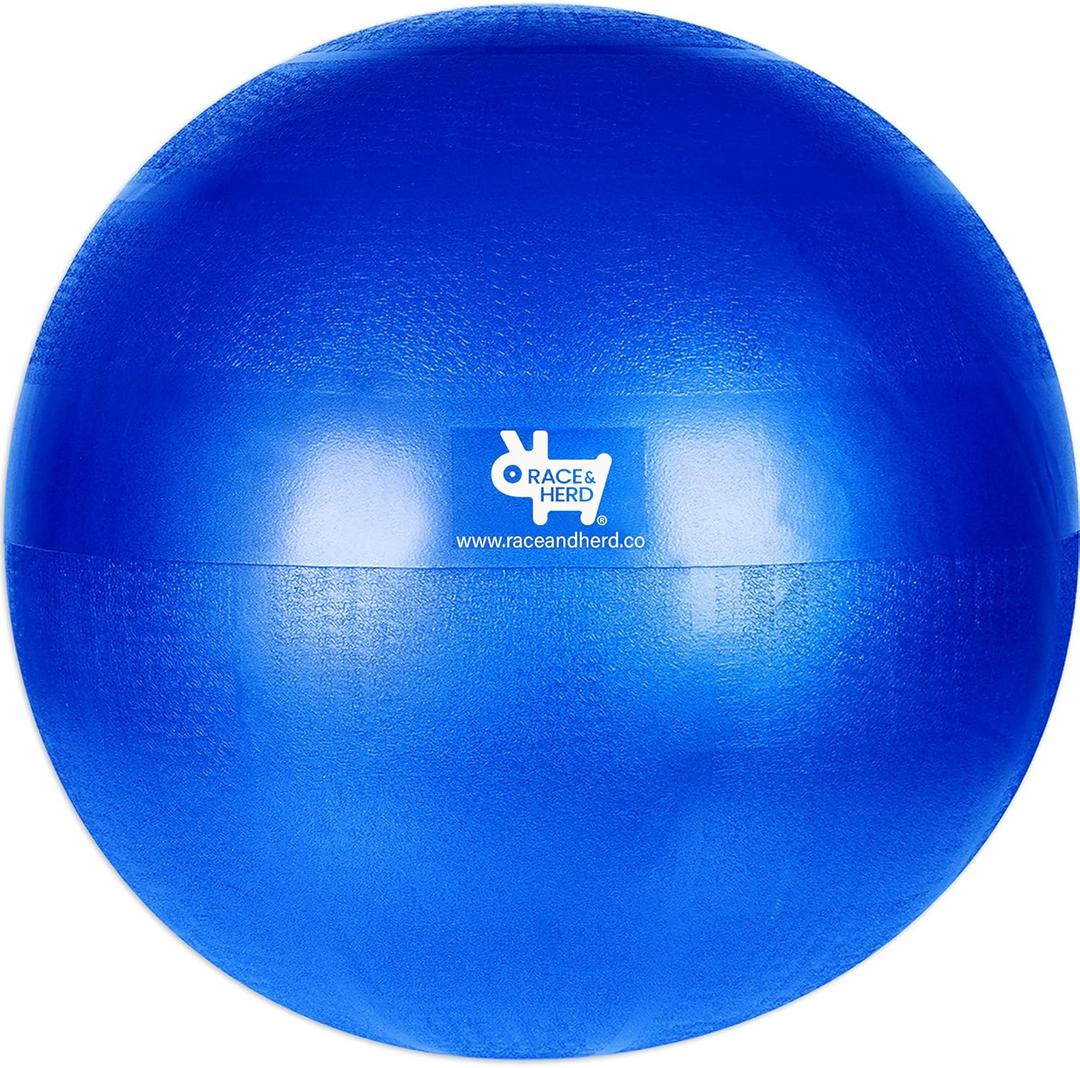 Race&Herd Herding Ball Inner Replacement for Dogs, Medium, 25'' (Blue)